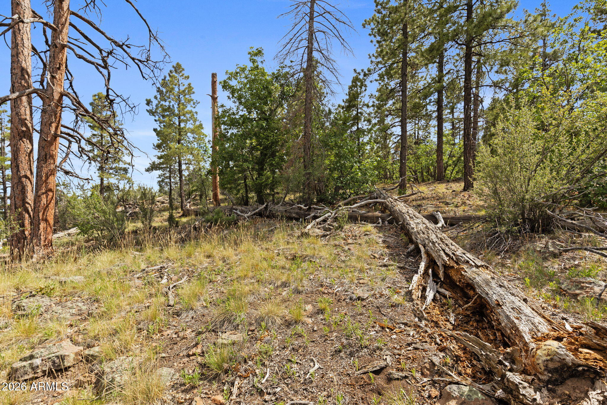 1628 Canyon View Loop, Unit 27 Williams, AZ 86046 - Photo 25 of 27