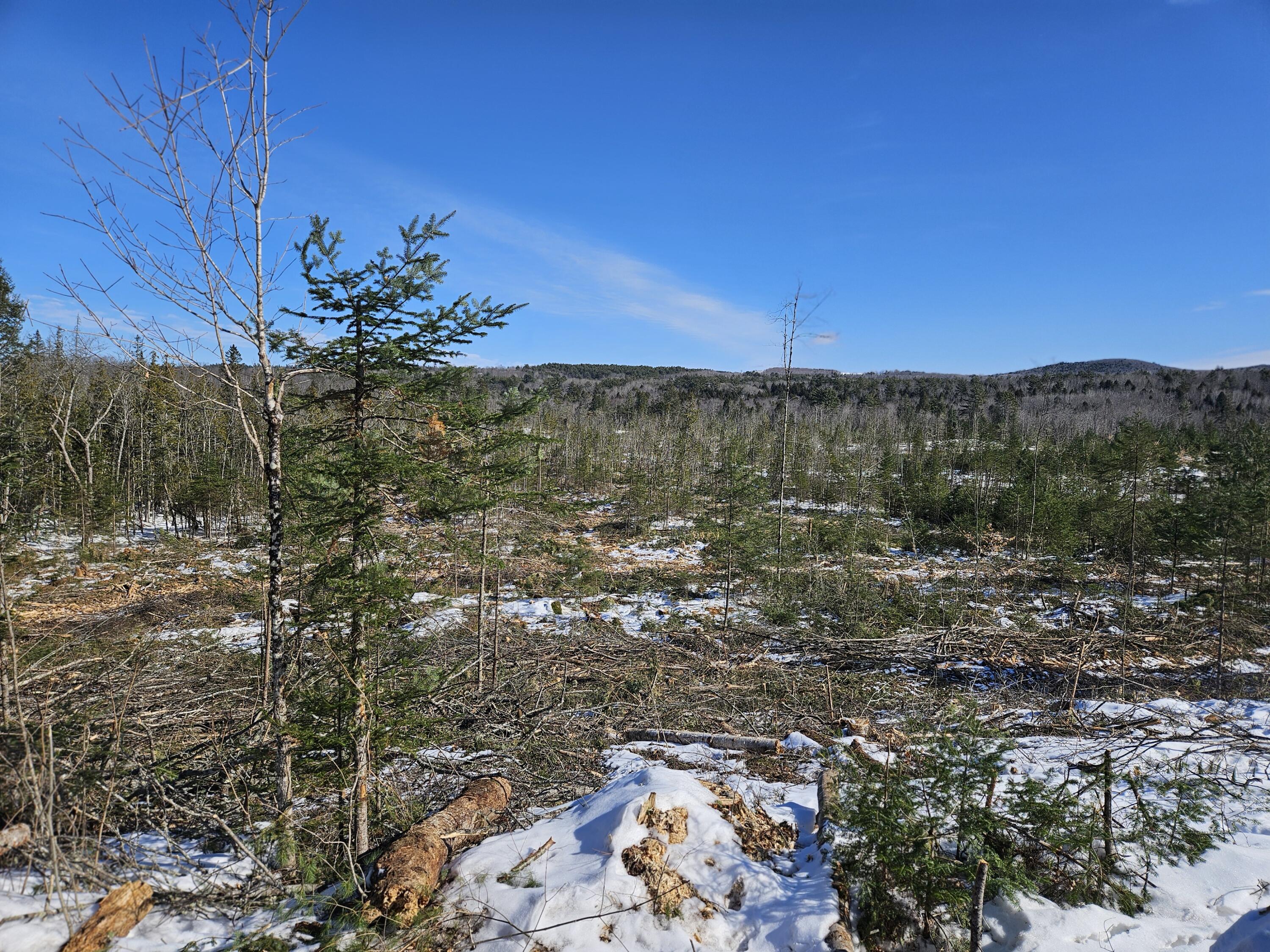 M10-l25-b M10-l25-b Cahoon Road Chesterville, ME 04938 - Photo 17 of 59 20260218_124009