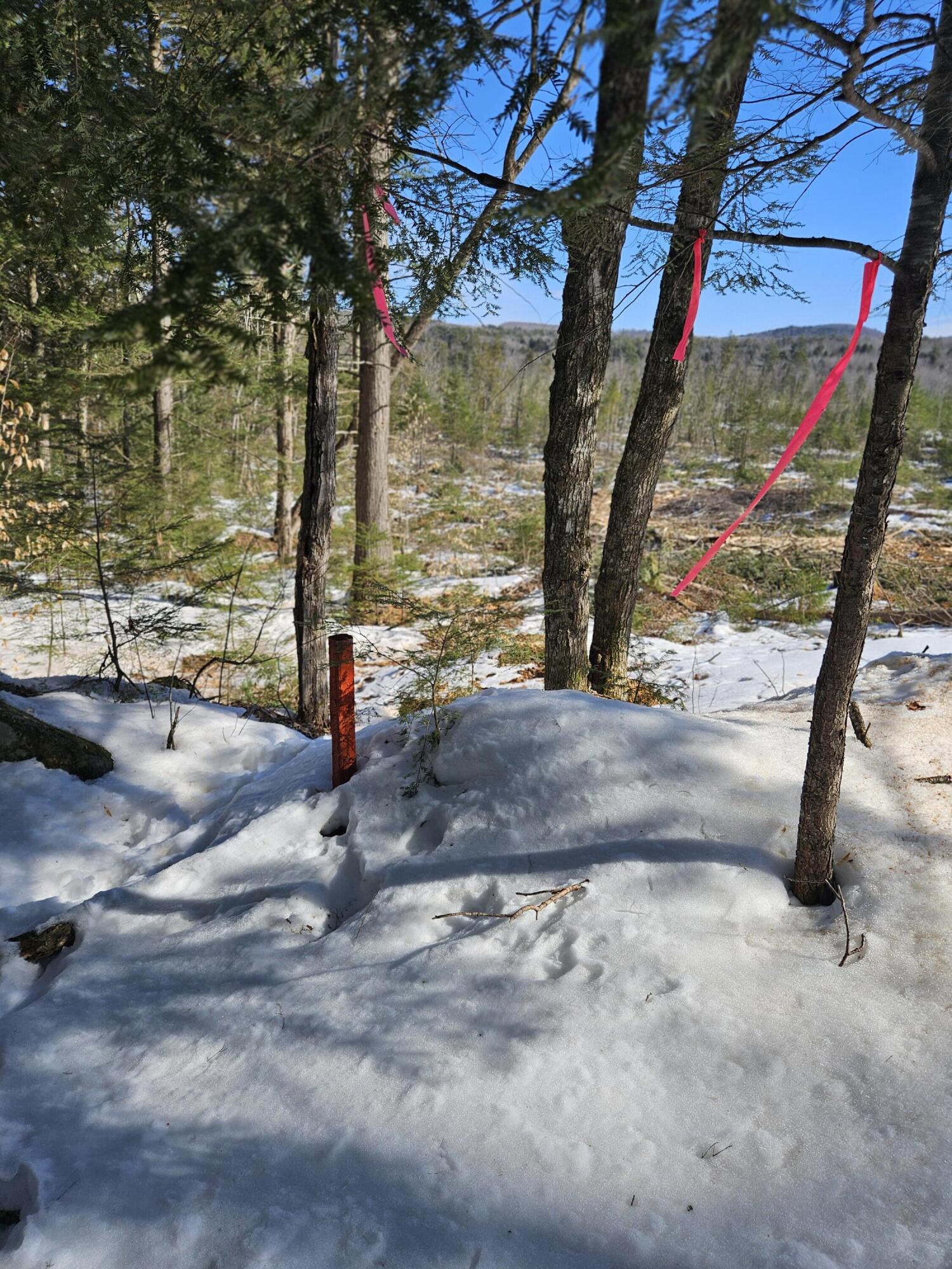 M10-l25-b M10-l25-b Cahoon Road Chesterville, ME 04938 - Photo 19 of 59 20260218_124159