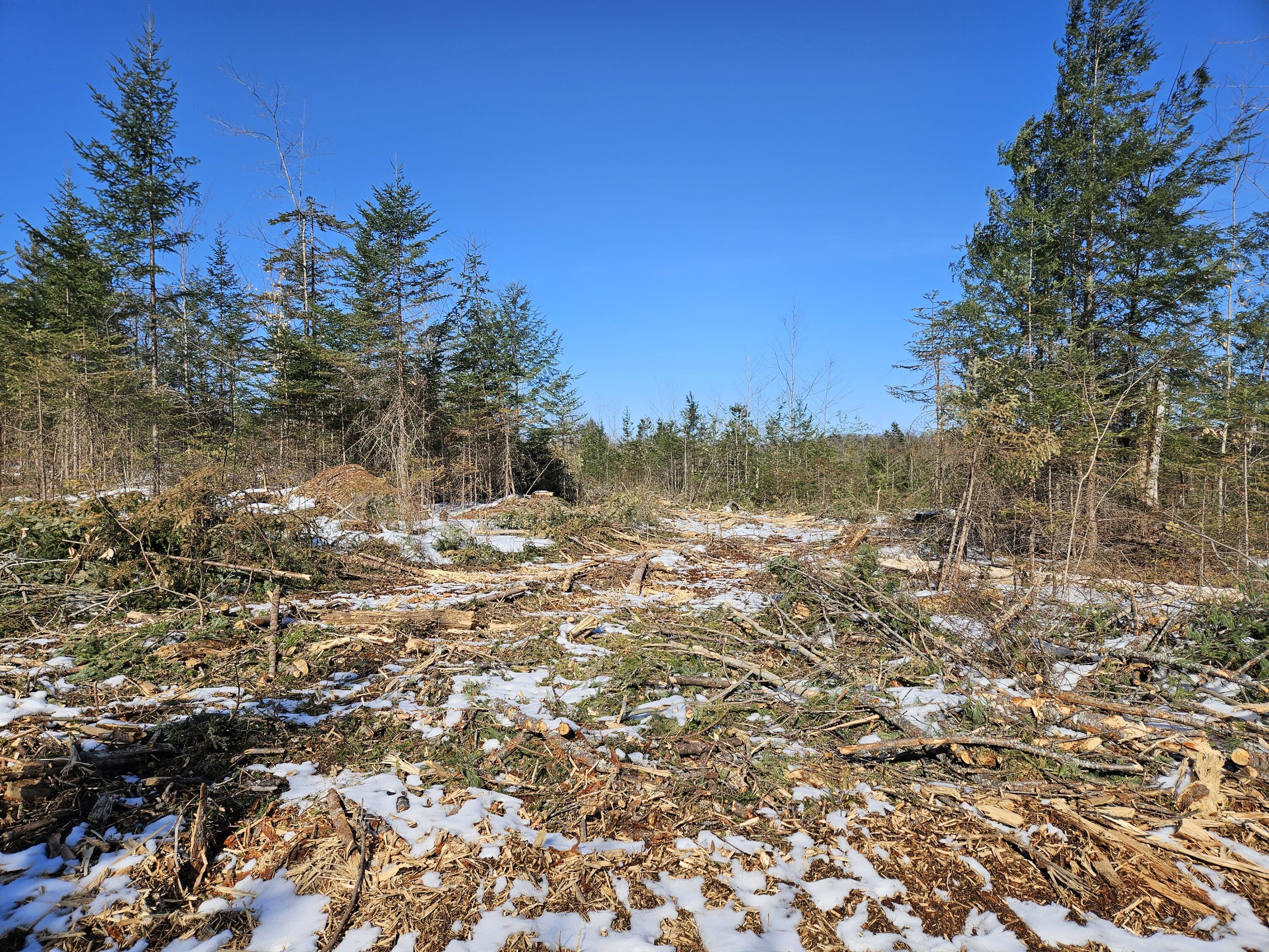M10-l25-b M10-l25-b Cahoon Road Chesterville, ME 04938 - Photo 21 of 59 20260218_125017