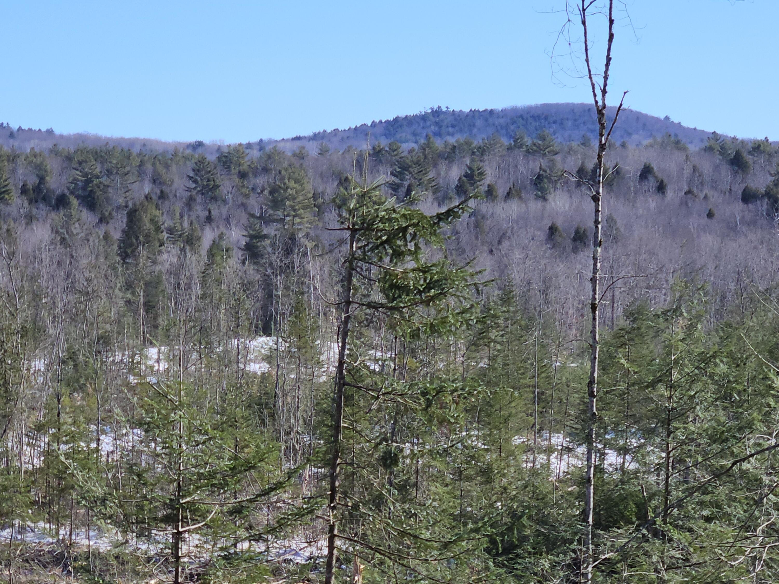 M10-l25-b M10-l25-b Cahoon Road Chesterville, ME 04938 - Photo 4 of 59 20260210_115809