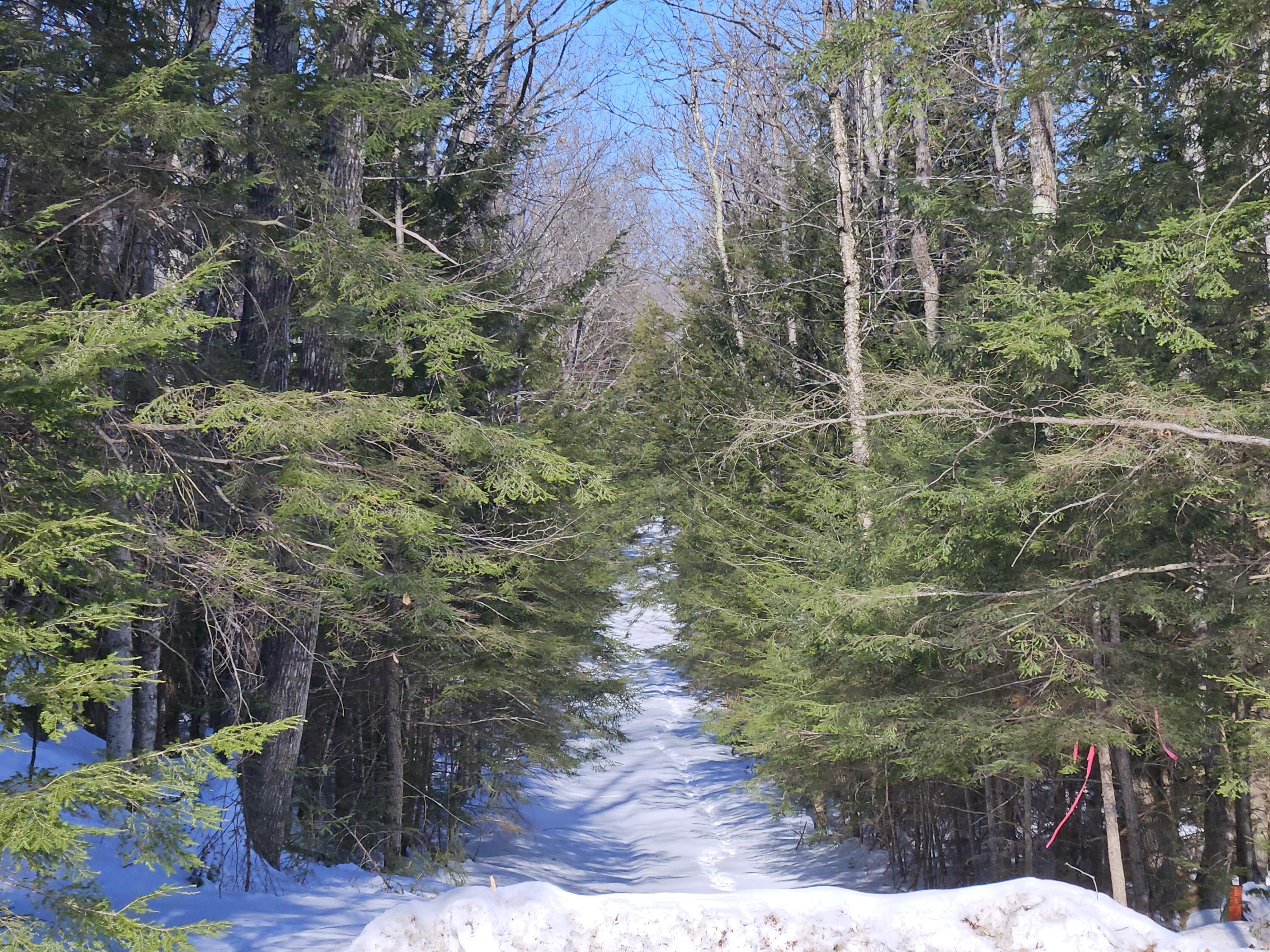 M10-l25-b M10-l25-b Cahoon Road Chesterville, ME 04938 - Photo 6 of 59 20260210_115742