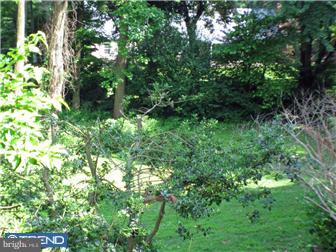 1509 Scrope Road Rydal, PA 19046 - Photo 12 of 12 Exterior Back