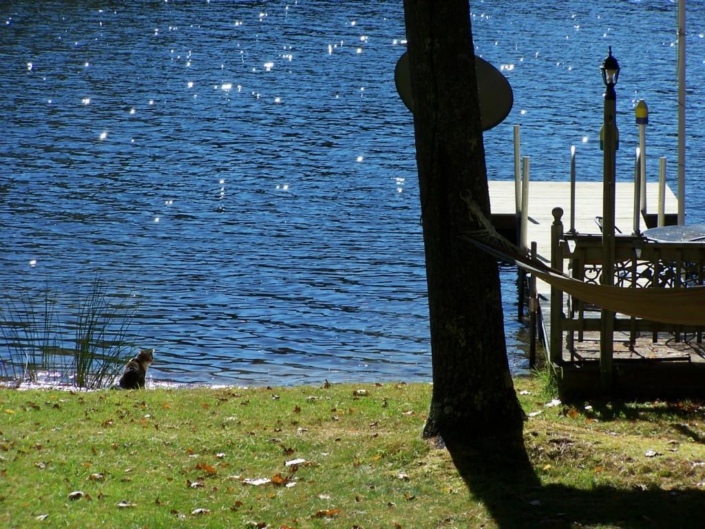 74 Pickerel Pond Road Limerick, ME 04048 - Photo 10 of 16 Photo