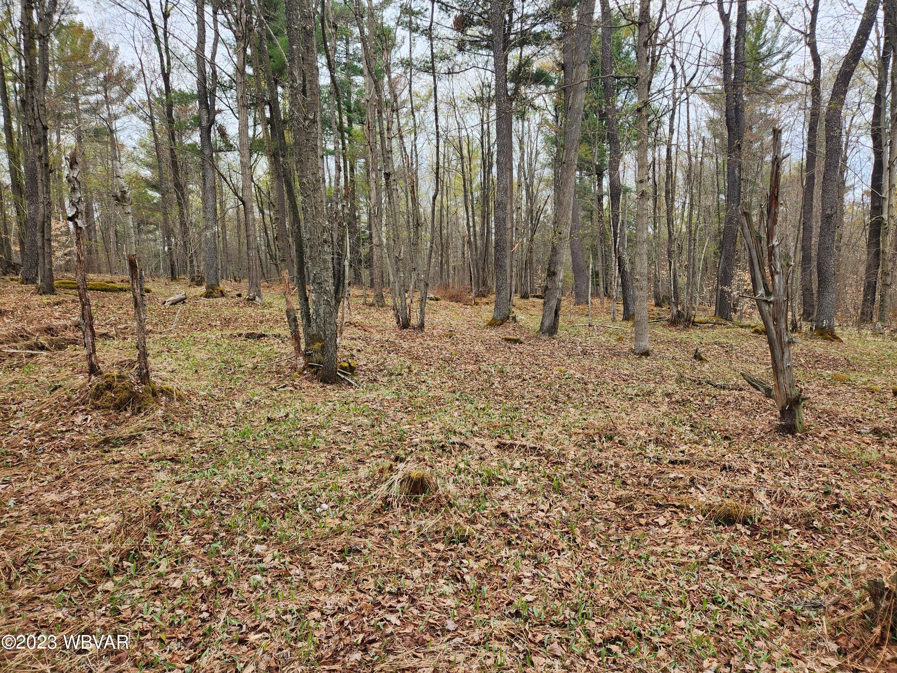 4844 Dutch Mountain Road Dushore, PA 18614 - Photo 39 of 44 Gallery Image 39