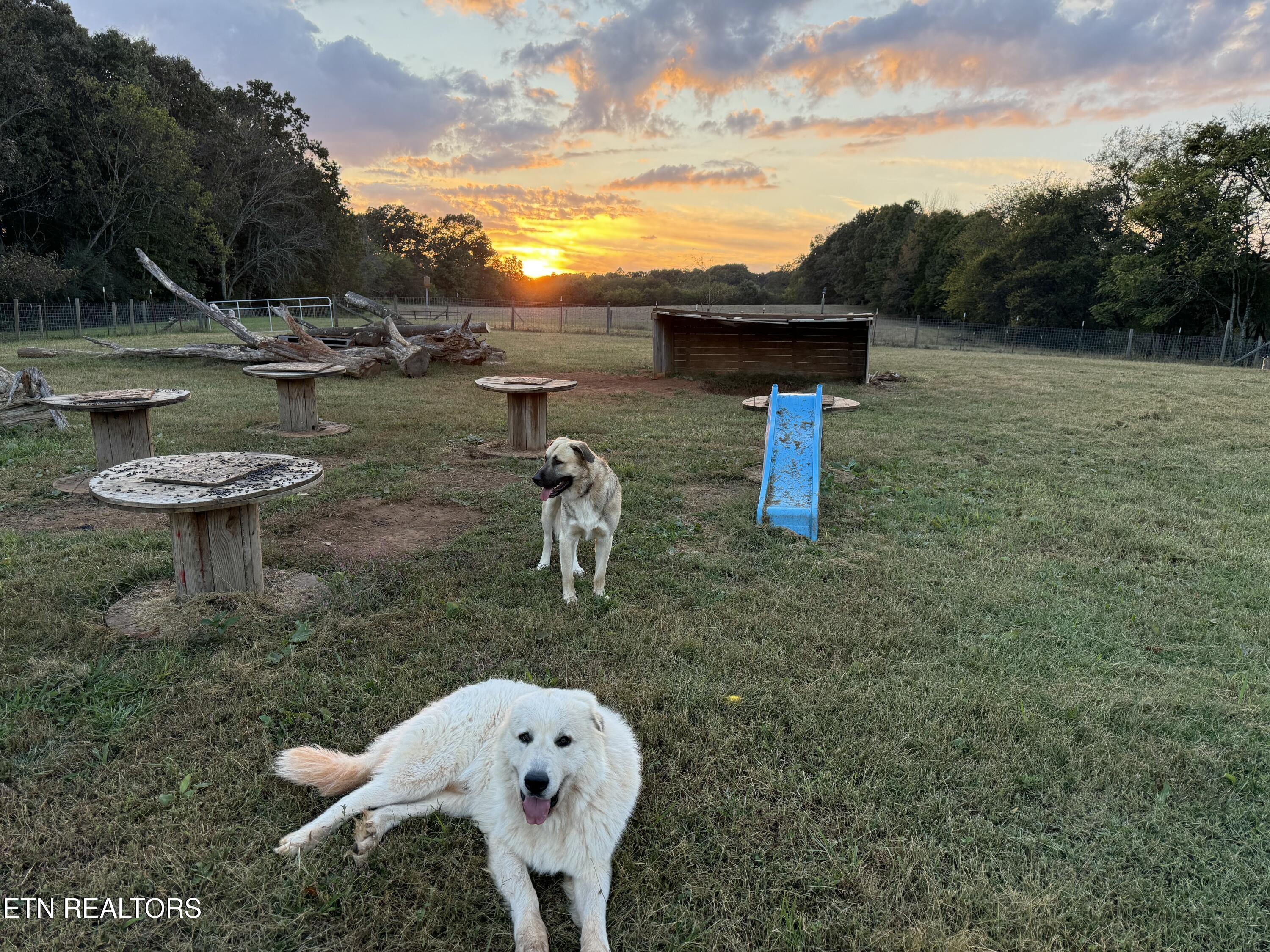 160 McDonald Road Sweetwater, TN 37874 - Photo 55 of 57 IMG_20251129_132001