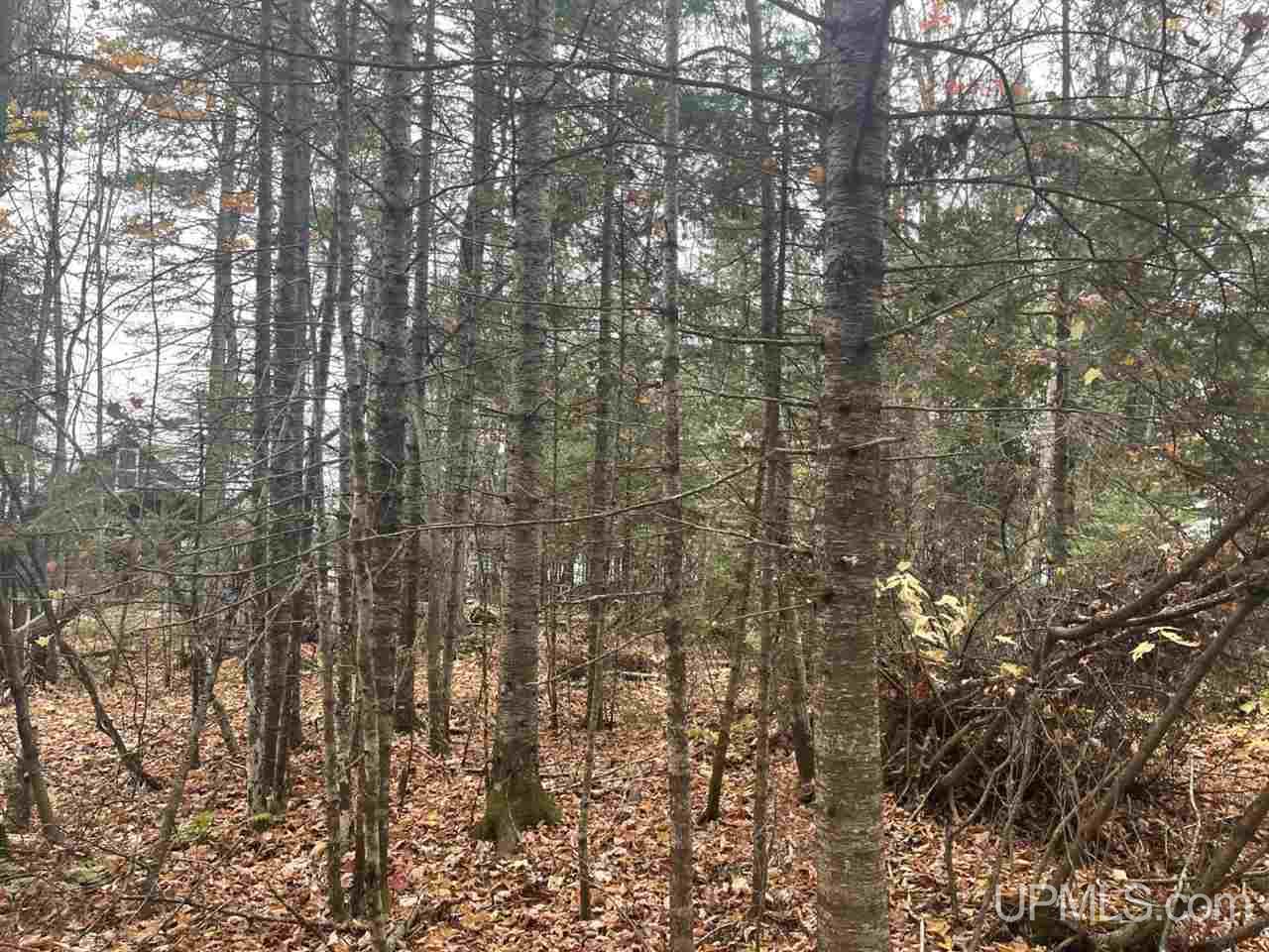 Tbd North Little Traverse Road Lake Linden, MI 49945 - Photo 17 of 17