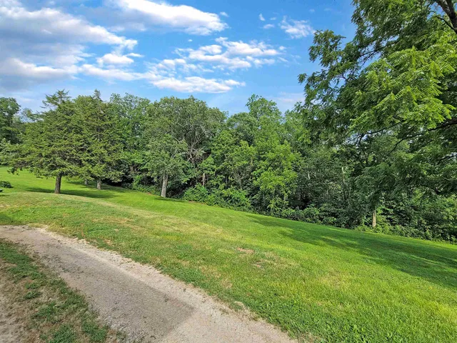 a view of a big yard with plants and large trees