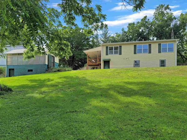 a view of a yard with plants and trees