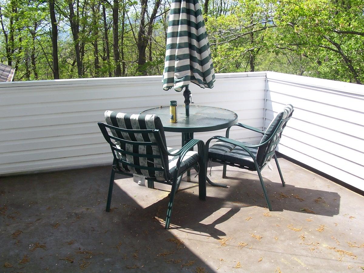 1703 Glendon Road Salem, VA 24153 - Photo 8 of 11 Main Bdrm Balcony
