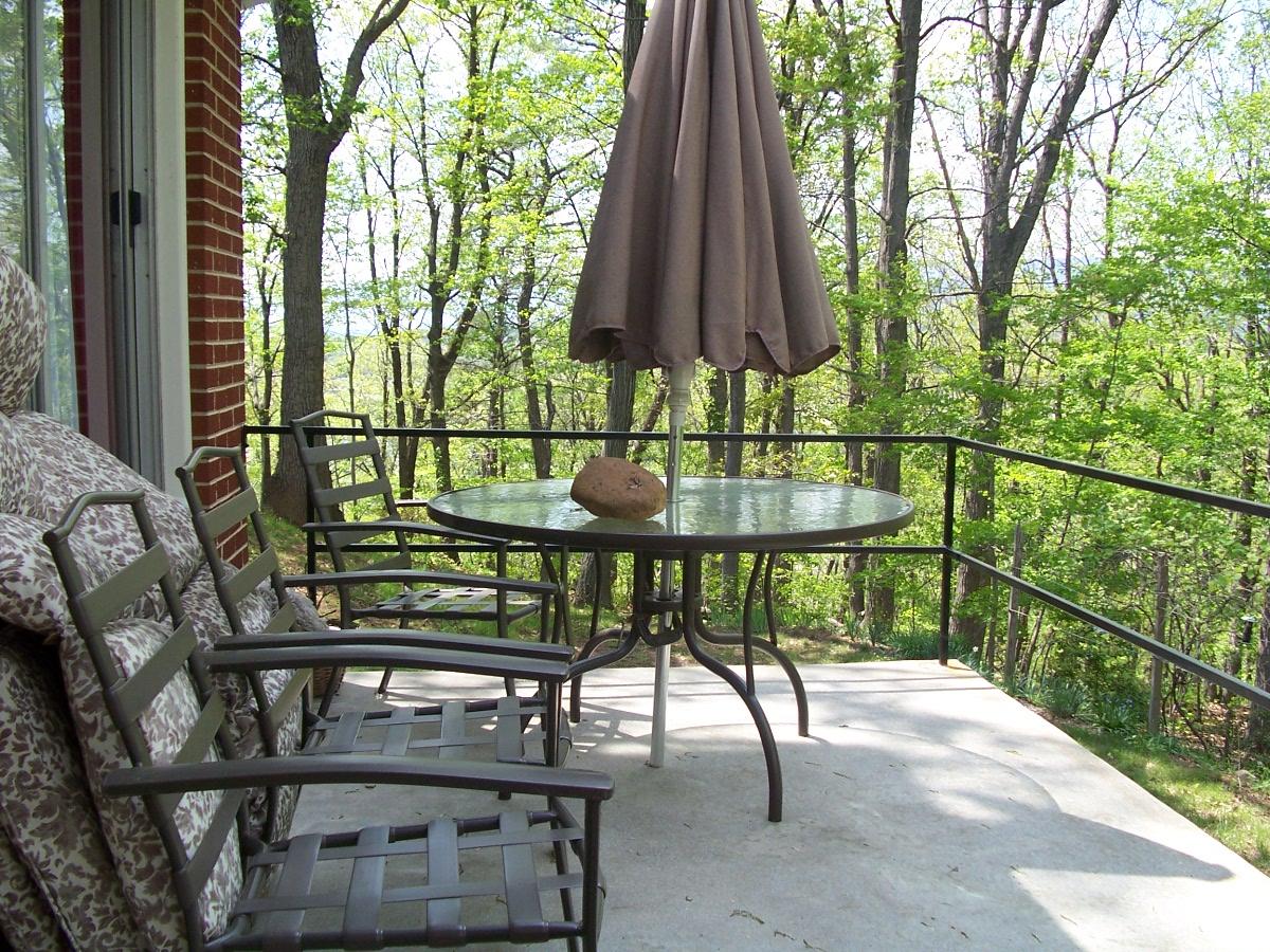 1703 Glendon Road Salem, VA 24153 - Photo 10 of 11 Patio
