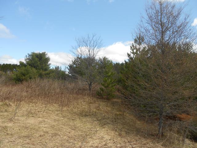 On Towering Pines Lane, Unit LOT 7 Rhinelander, WI 54501 - Photo 4 of 7 Gallery Image 4