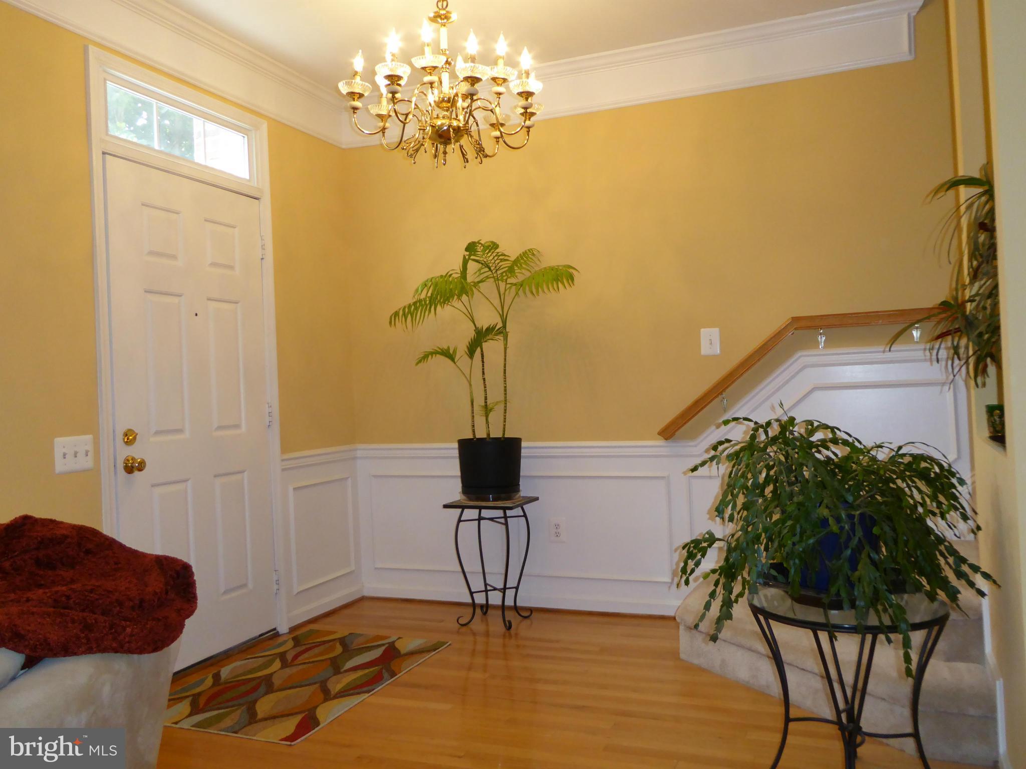 15106 Snow Mass Court Silver Spring, MD 20906 - Photo 3 of 26 Interior (General)