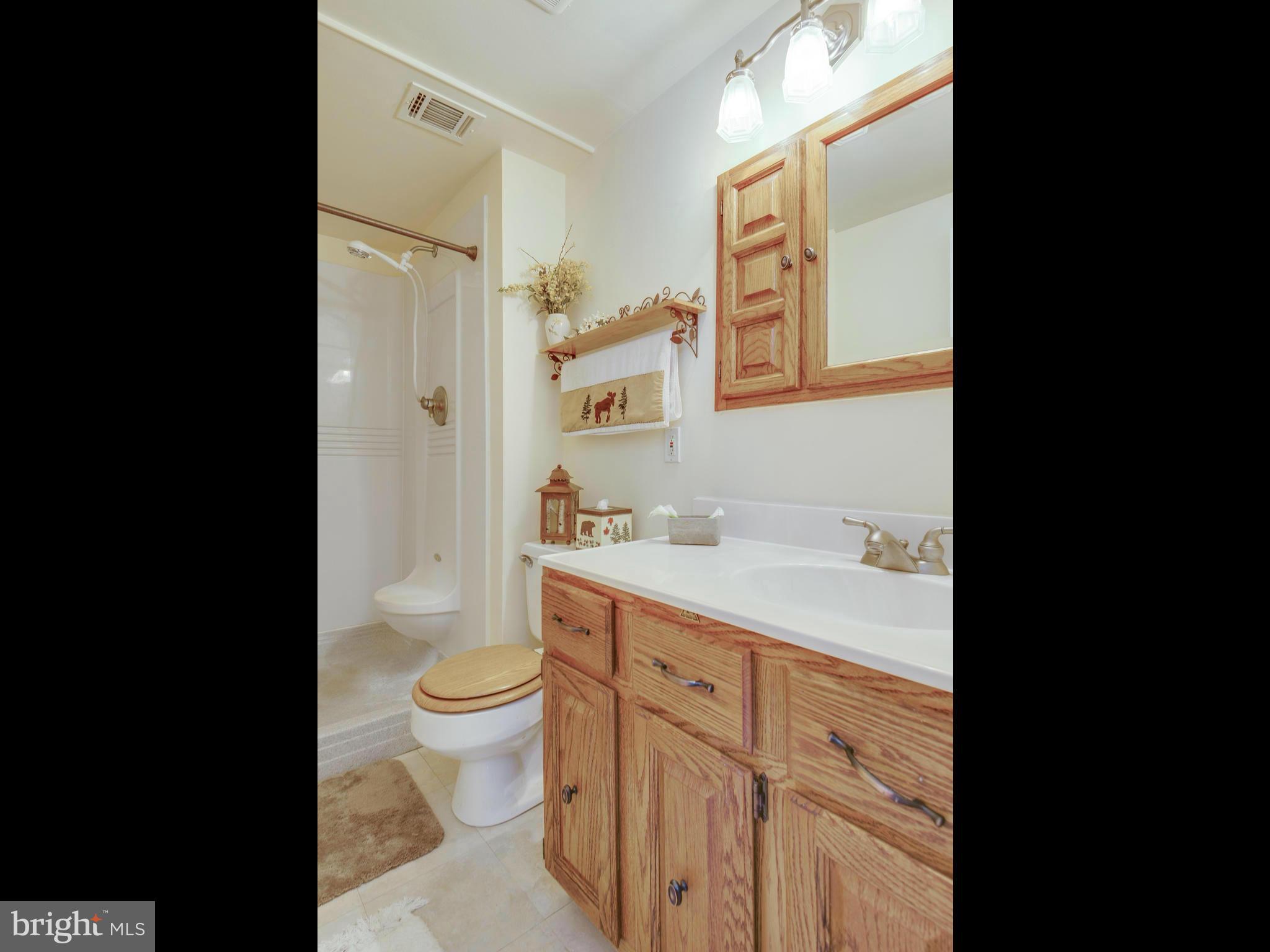 31 Thrush Road Sterling, VA 20164 - Photo 21 of 30 Bath (Master)