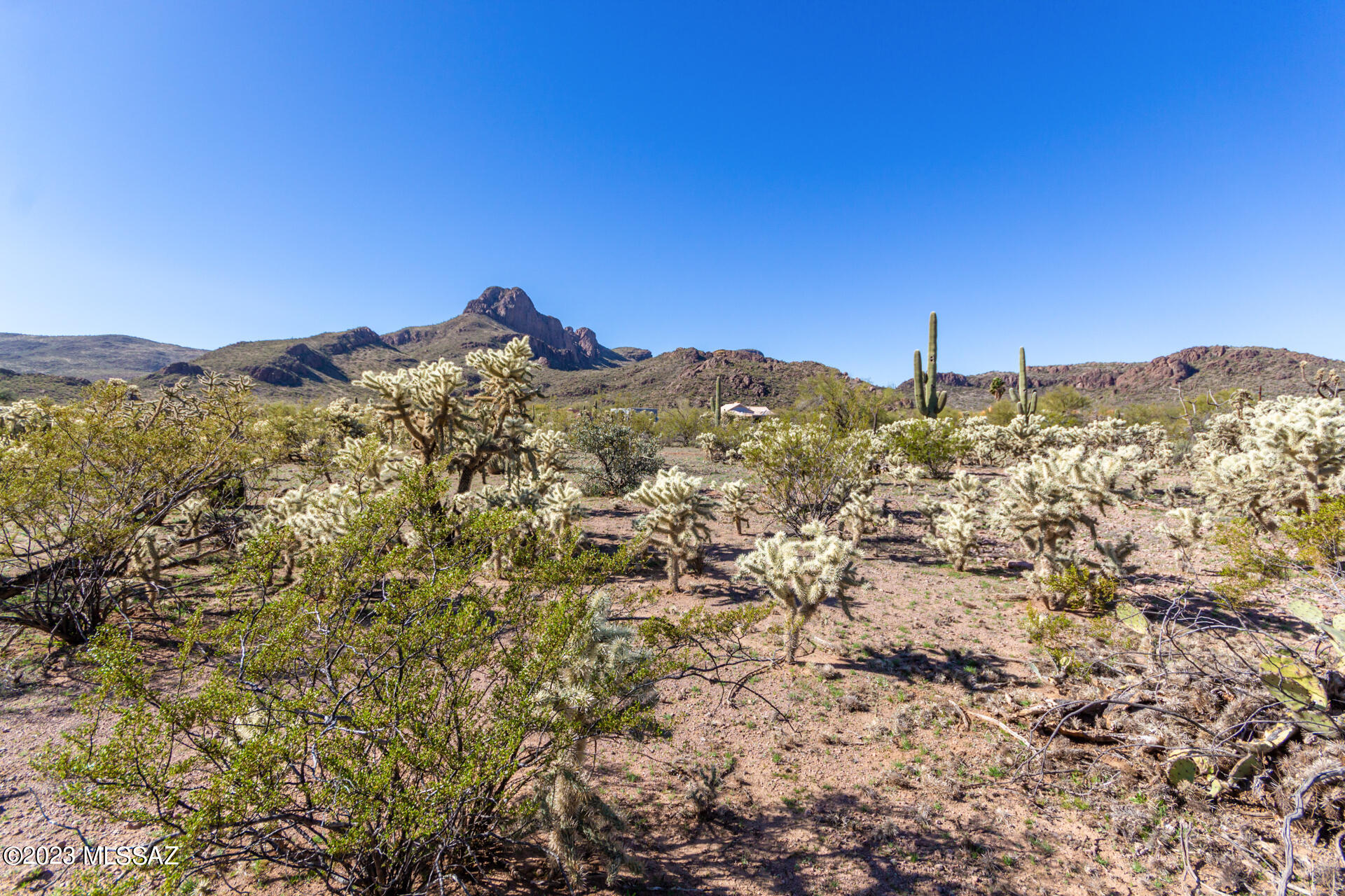 8121 West Pima Farms Road Tucson, AZ 85743 - Photo 2 of 32 Gallery Image 2