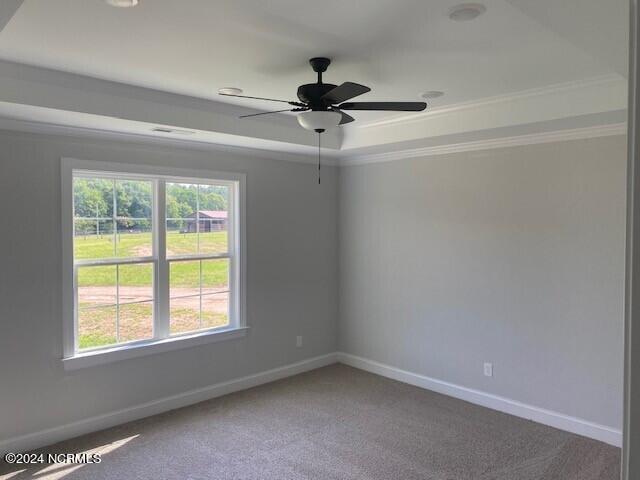 7476 Perry Road Bailey, NC 27807 - Photo 8 of 14 PERRY RD. LOT-3C