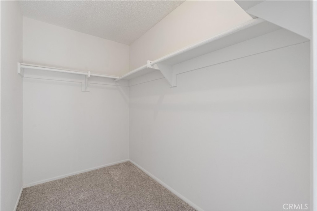 19041 Hamlin Street, Unit 5 Reseda, CA 91335 - Photo 14 of 25 Primary Walkin Closet