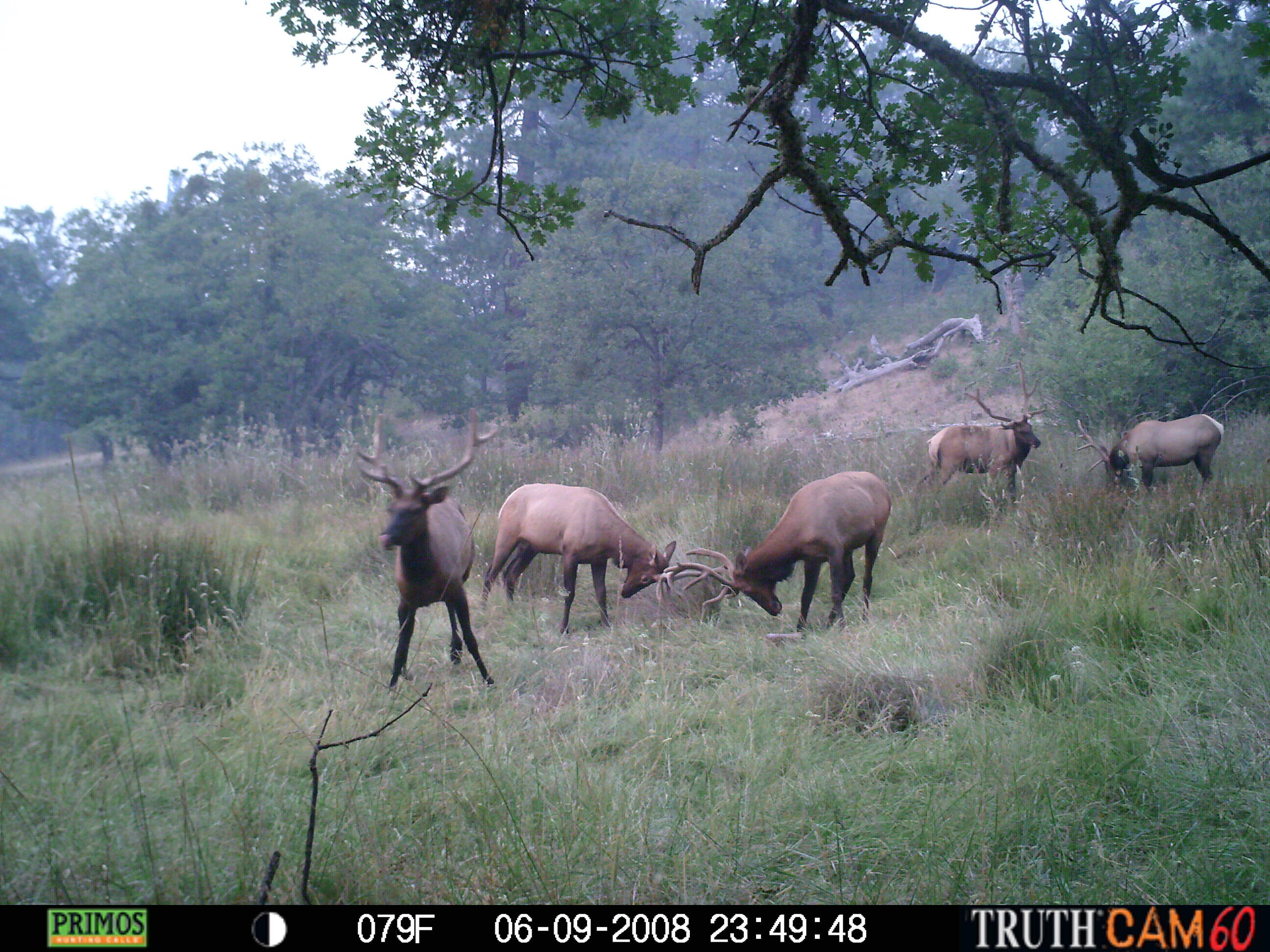 540 North Valley View Road Ashland, OR 97520 - Photo 16 of 19 AshlandLand