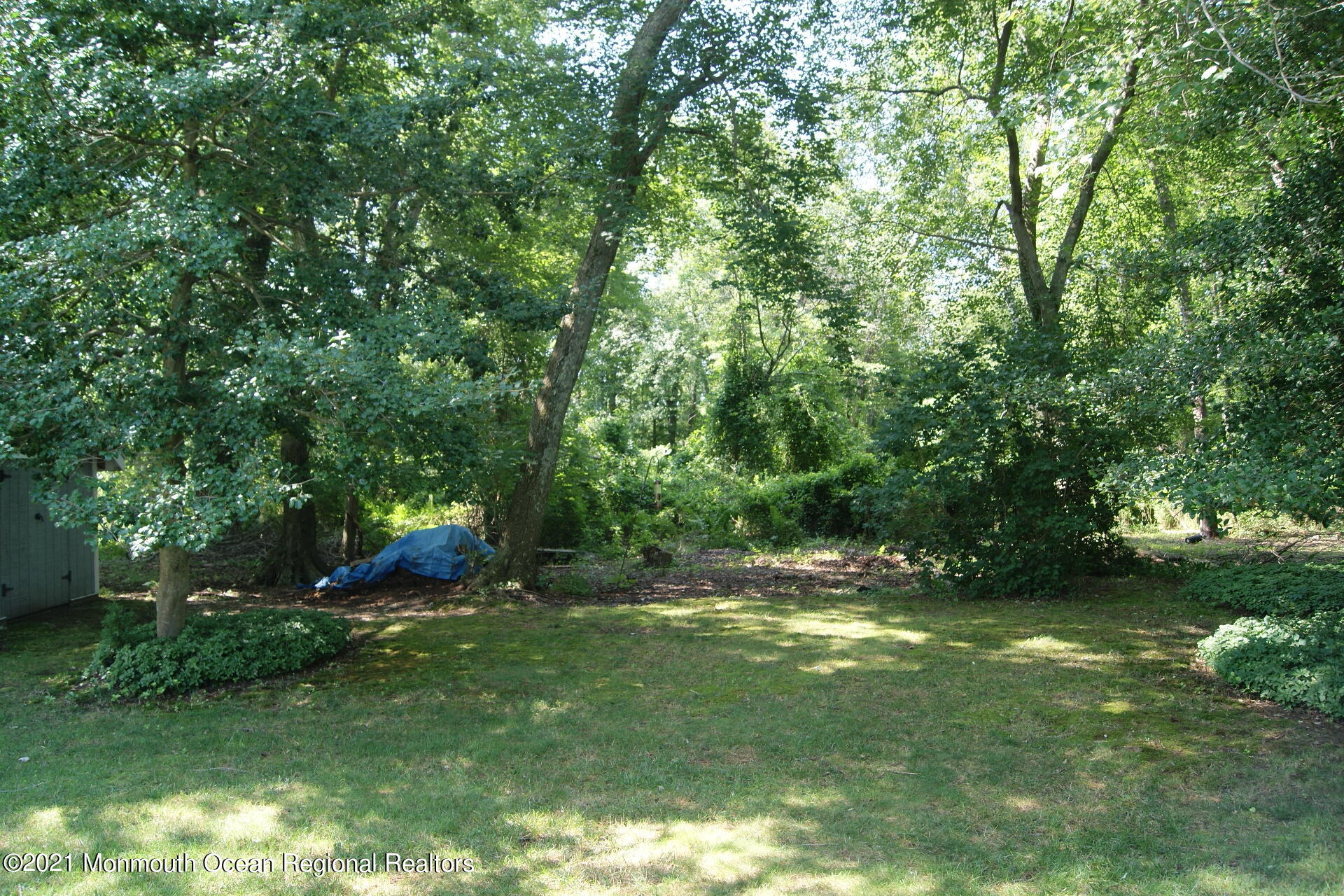 669 Millbrook Road Brick, NJ 08724 - Photo 43 of 50 DSC02611