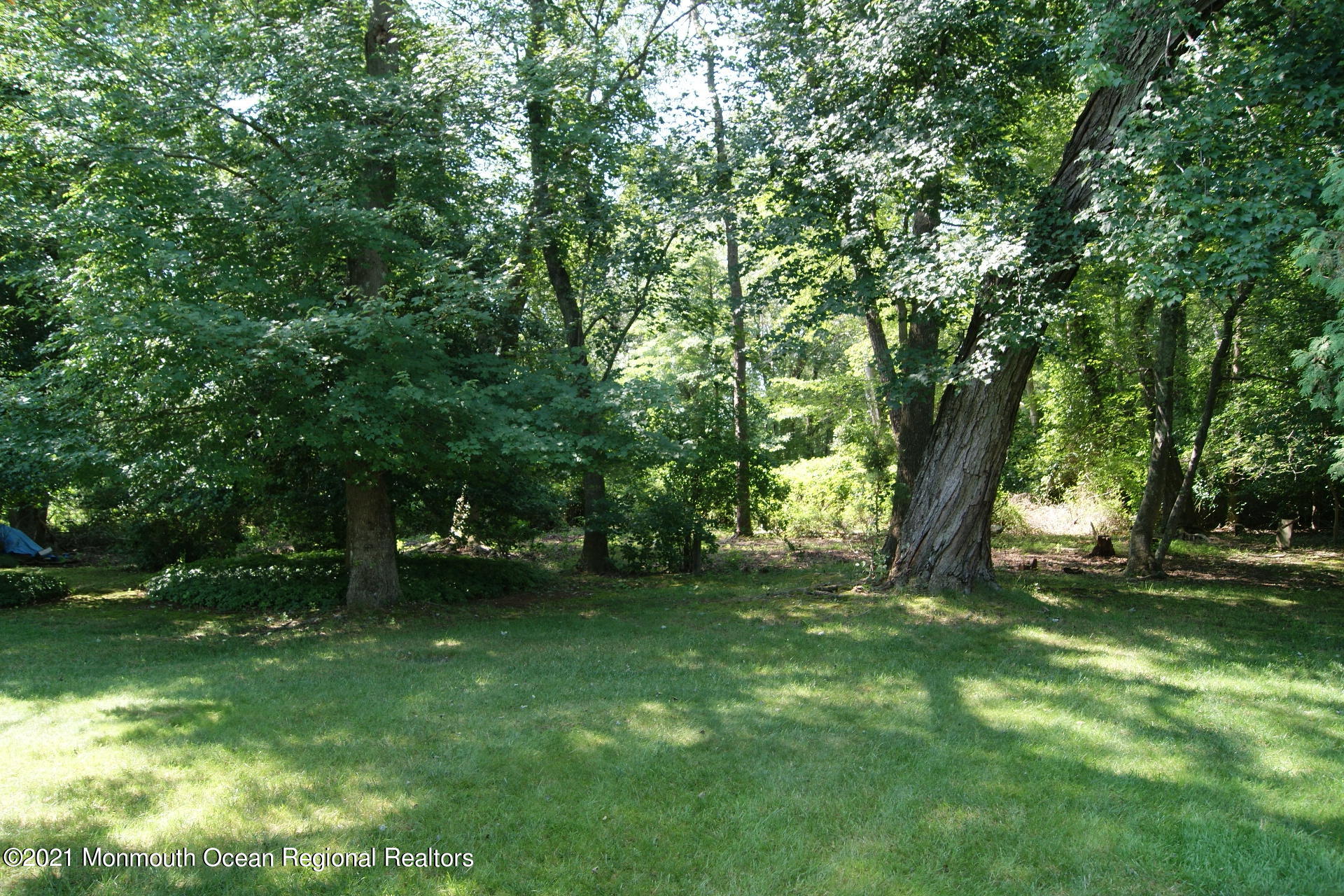 669 Millbrook Road Brick, NJ 08724 - Photo 46 of 50 DSC02614