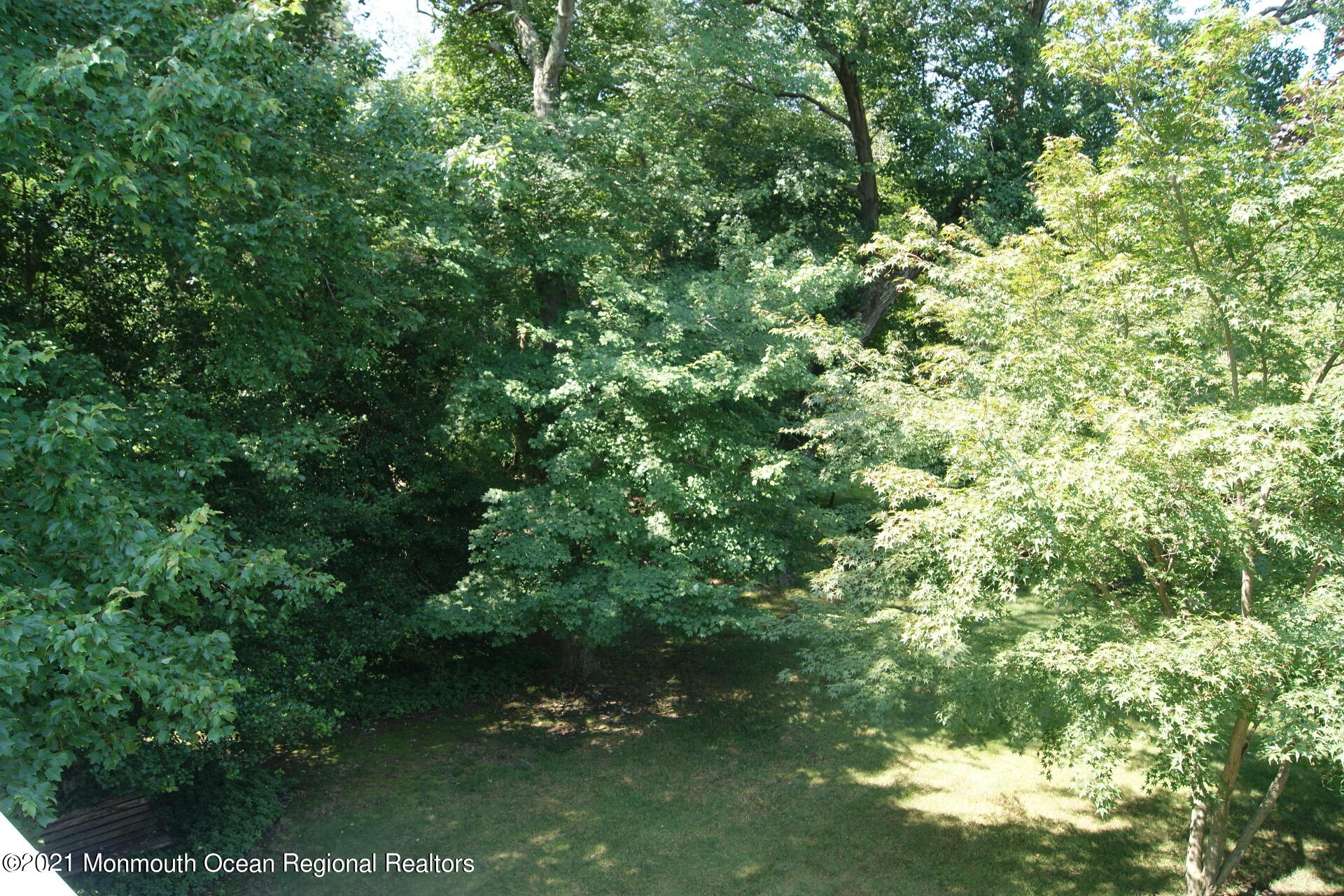 669 Millbrook Road Brick, NJ 08724 - Photo 49 of 50 DSC02617