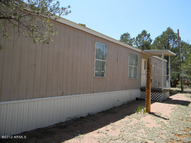 2154 Fishermans Road Overgaard, AZ 85933 - Photo 3 of 13 004