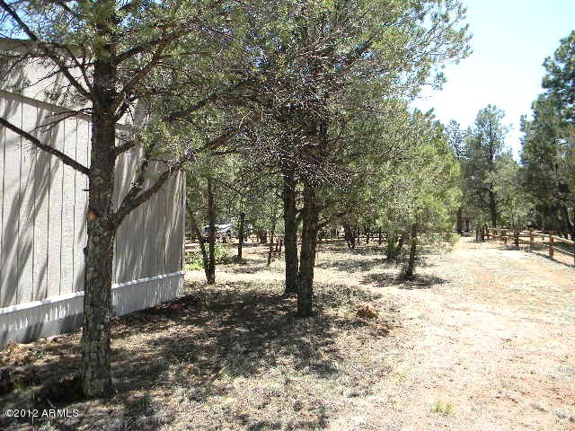 2154 Fishermans Road Overgaard, AZ 85933 - Photo 5 of 13 006