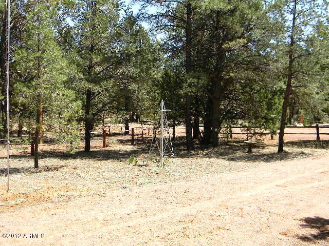 2154 Fishermans Road Overgaard, AZ 85933 - Photo 6 of 13 008