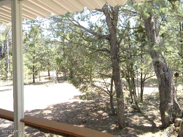 2154 Fishermans Road Overgaard, AZ 85933 - Photo 7 of 13 014