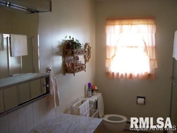 322 South Sage Street Oneida, IL 61467 - Photo 9 of 13 Gallery Image 9