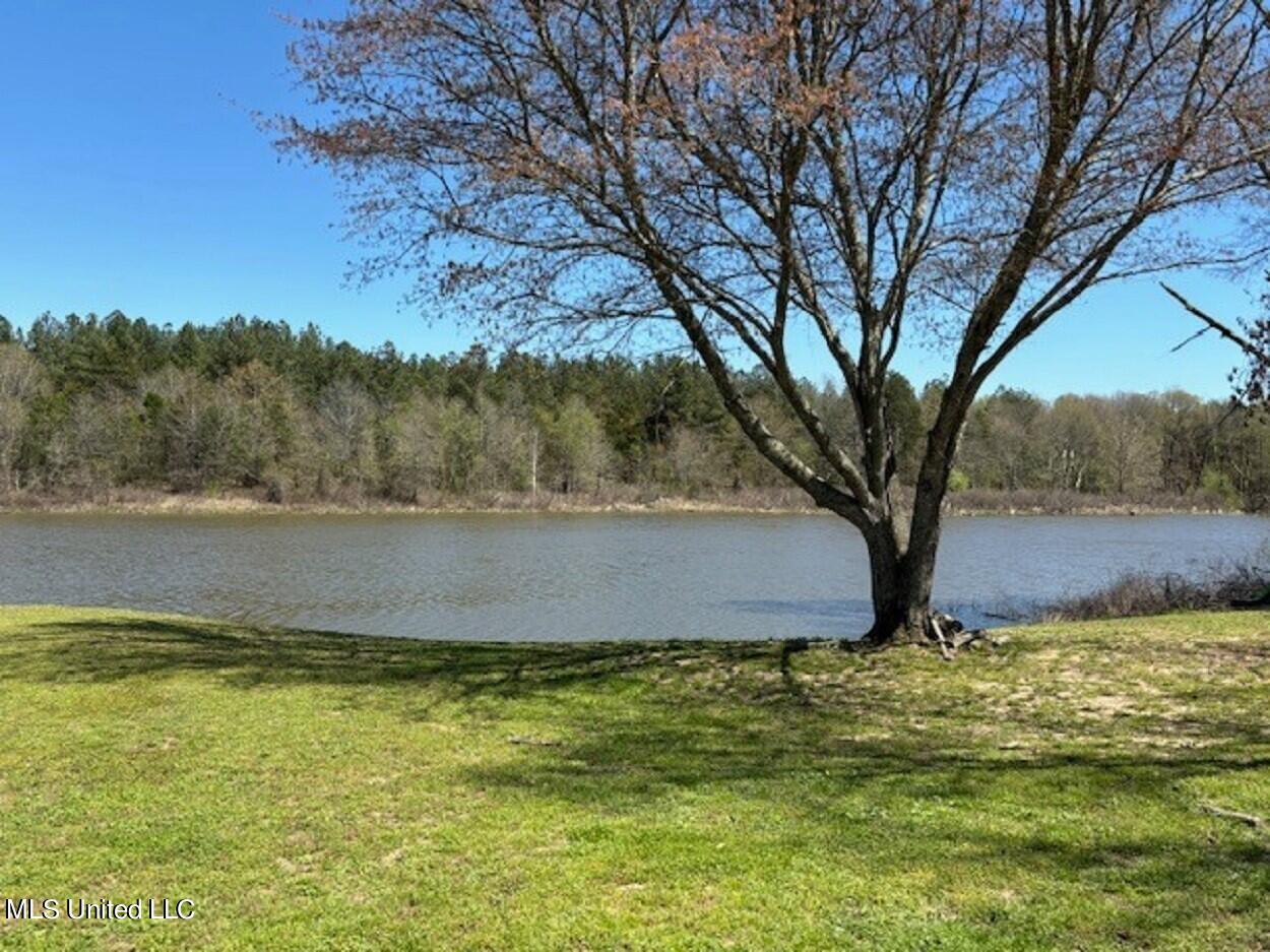 6012 Hernando Road Byhalia, MS 38611 - Photo 3 of 29 Hernando Beautiful view