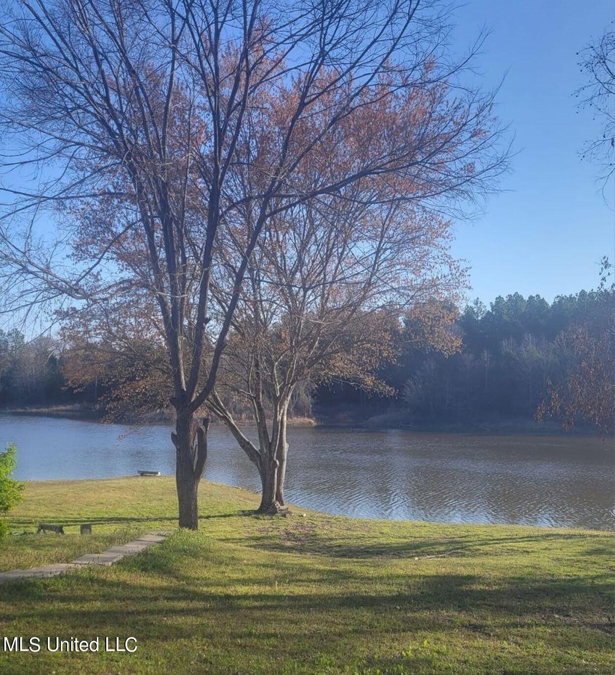 6012 Hernando Road Byhalia, MS 38611 - Photo 4 of 29 water Hernando Rd House