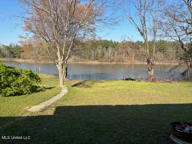 6012 Hernando Road Byhalia, MS 38611 - Photo 8 of 29 Water view from Drivewway