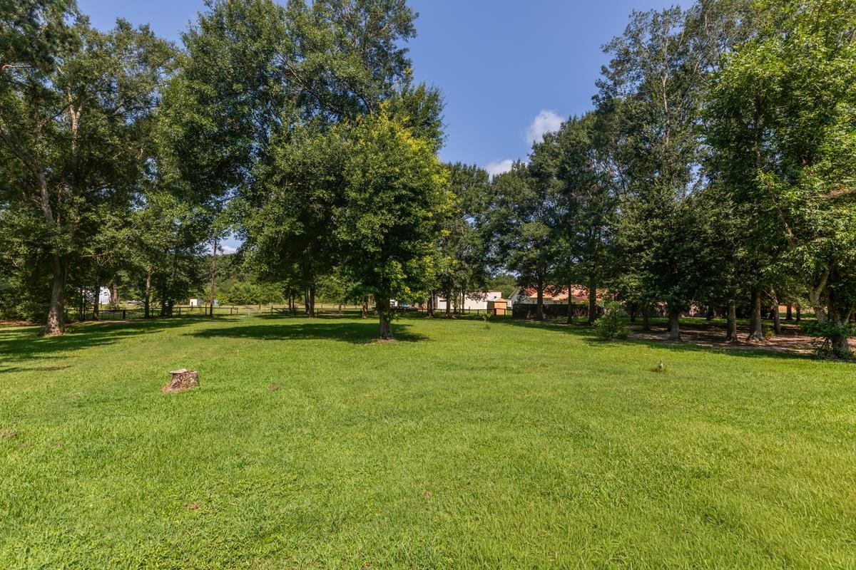 2231 Neyland Road Silsbee, TX 77656 - Photo 36 of 48
