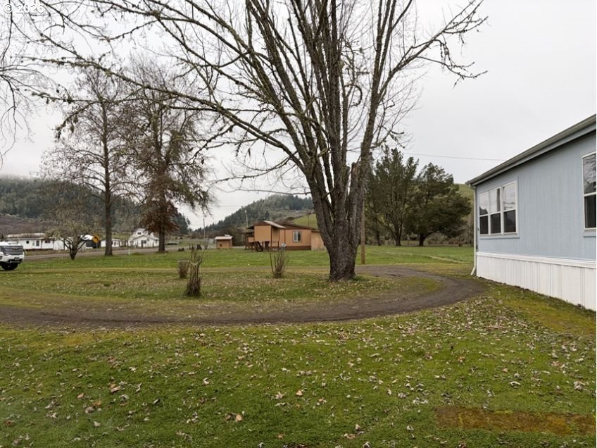 503 Old Pioneer Road Sutherlin, OR 97479 - Photo 24 of 48 a view of outdoor space with green field and trees