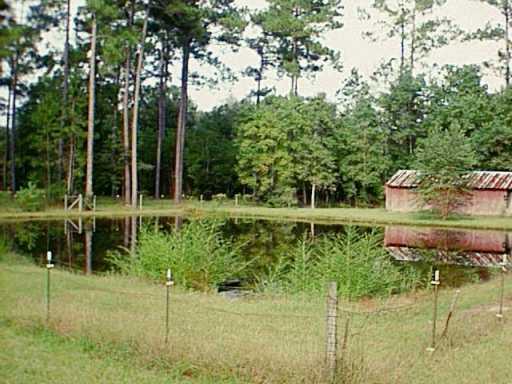 77040 Delos Road Folsom, LA 70437 - Photo 5 of 8