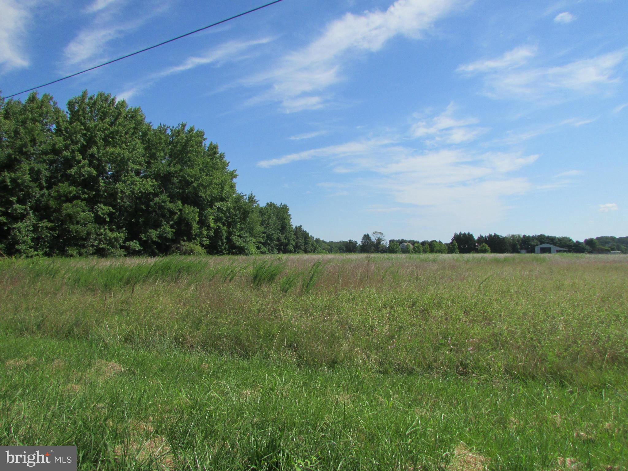 2102 McGinnes Road Chestertown, MD 21620 - Photo 4 of 4 View