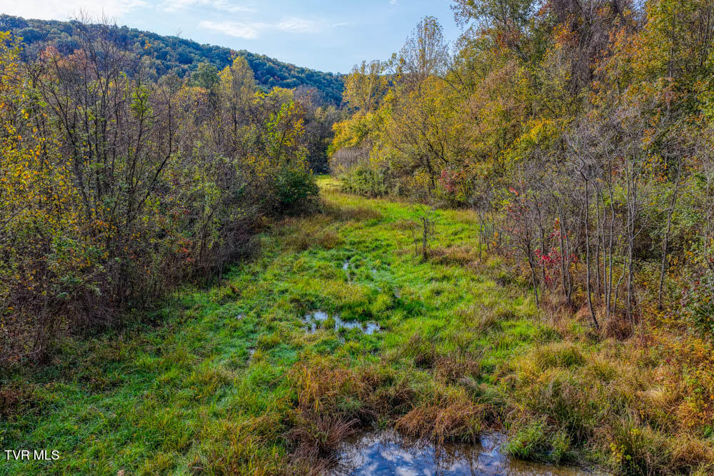 0 Jones Cemetery Road Rogersville, TN 37857 - Photo 11 of 52 Jones Cemetary. Rog MLSa (8 of 50)