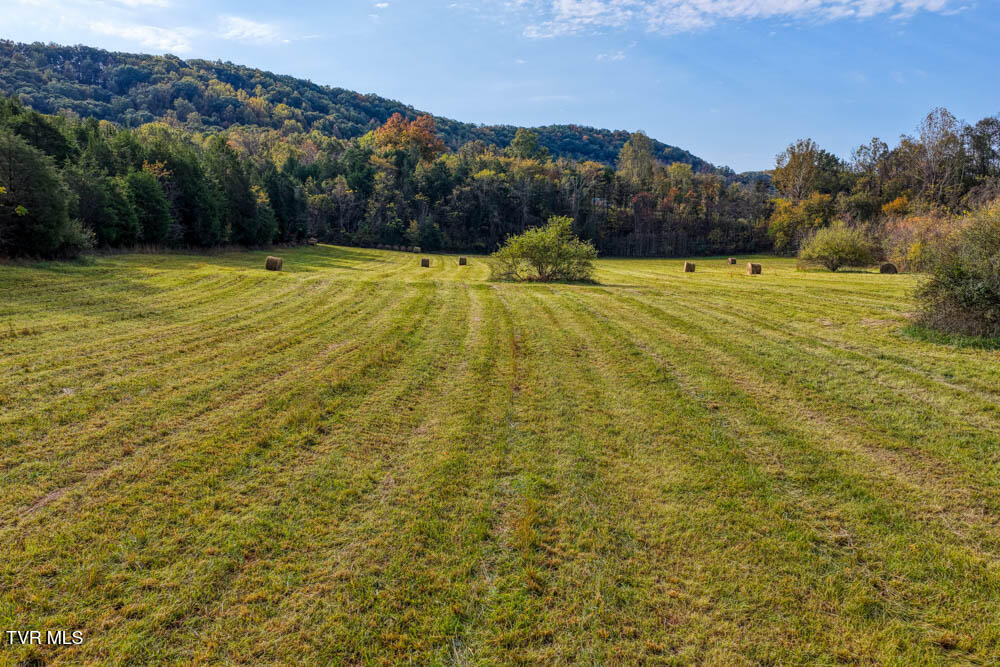 0 Jones Cemetery Road Rogersville, TN 37857 - Photo 14 of 52 Jones Cemetary. Rog MLSa (11 of 50)