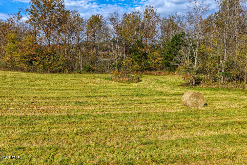 0 Jones Cemetery Road Rogersville, TN 37857 - Photo 15 of 52 Jones Cemetary. Rog MLSa (12 of 50)