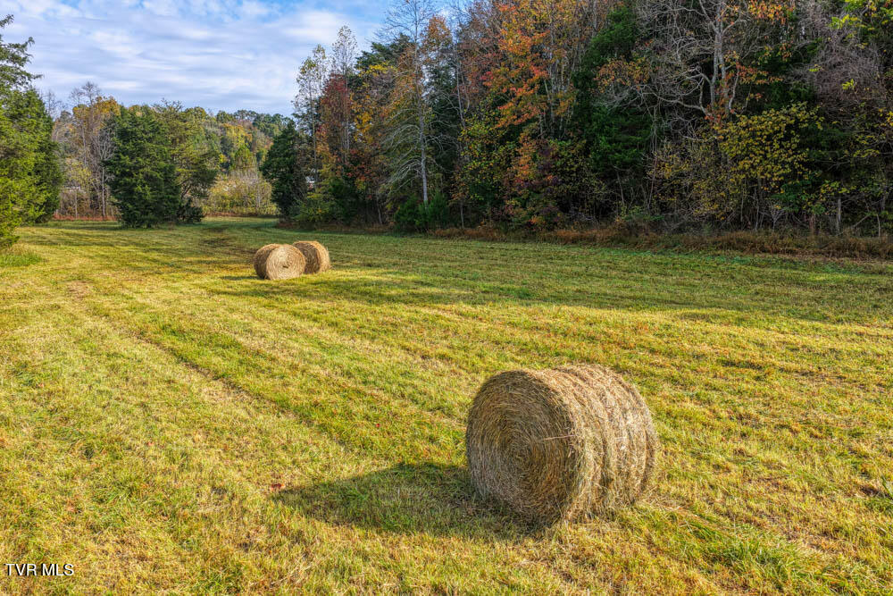 0 Jones Cemetery Road Rogersville, TN 37857 - Photo 16 of 52 Jones Cemetary. Rog MLSa (13 of 50)