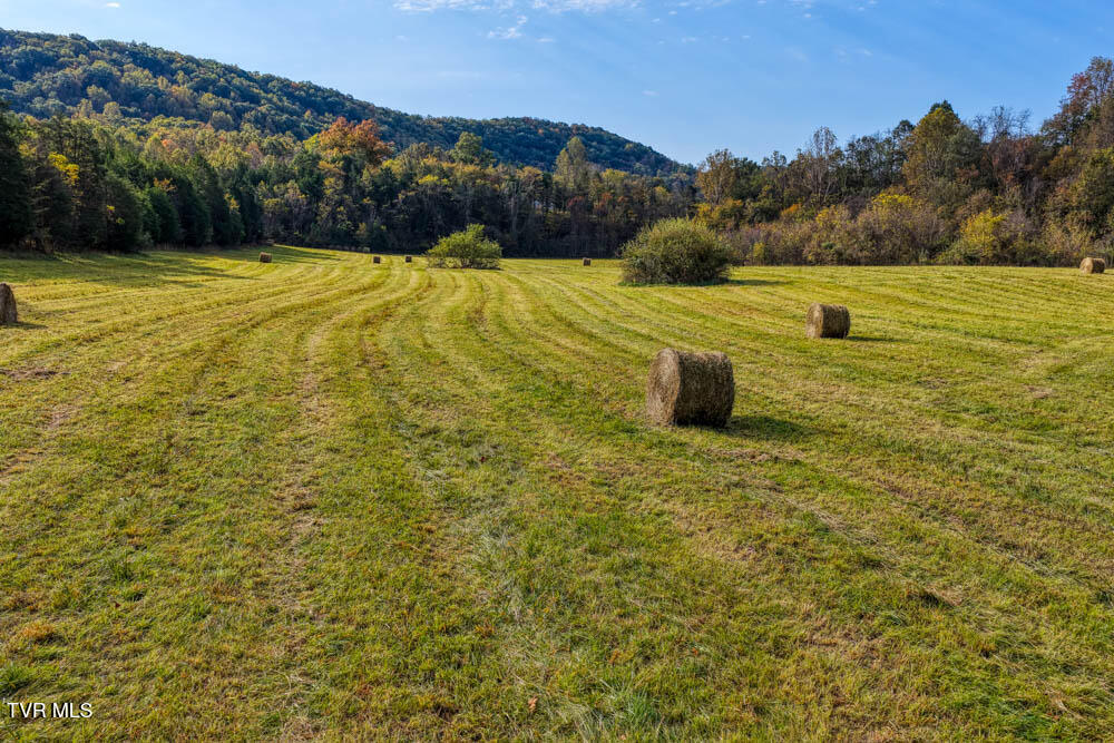 0 Jones Cemetery Road Rogersville, TN 37857 - Photo 17 of 52 Jones Cemetary. Rog MLSa (14 of 50)