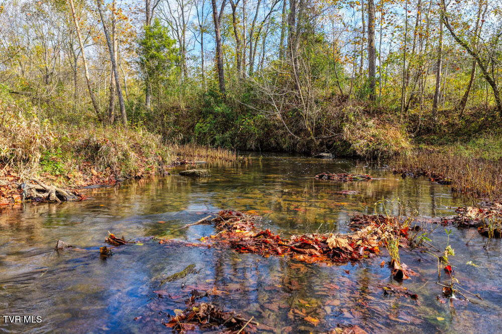 0 Jones Cemetery Road Rogersville, TN 37857 - Photo 31 of 52 Jones Cemetary. Rog MLSa (29 of 50)