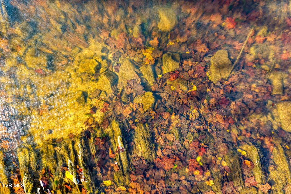 0 Jones Cemetery Road Rogersville, TN 37857 - Photo 35 of 52 Jones Cemetary. Rog MLSa (33 of 50)
