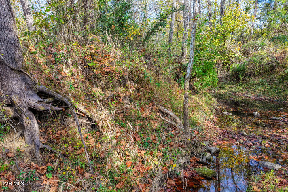 0 Jones Cemetery Road Rogersville, TN 37857 - Photo 39 of 52 Jones Cemetary. Rog MLSa (37 of 50)