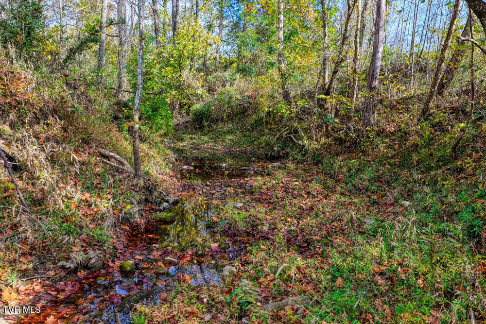 0 Jones Cemetery Road Rogersville, TN 37857 - Photo 40 of 52 Jones Cemetary. Rog MLSa (38 of 50)