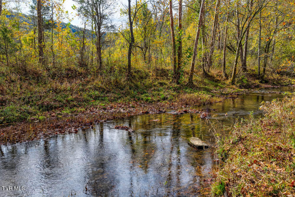 0 Jones Cemetery Road Rogersville, TN 37857 - Photo 42 of 52 Jones Cemetary. Rog MLSa (40 of 50)