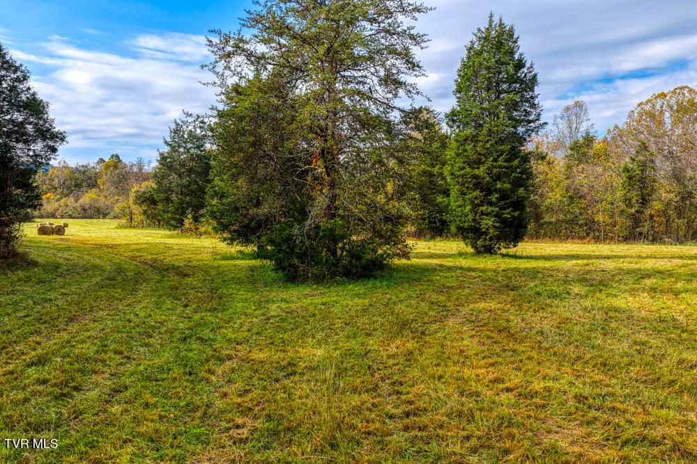 0 Jones Cemetery Road Rogersville, TN 37857 - Photo 45 of 52 Jones Cemetary. Rog MLSa (43 of 50)