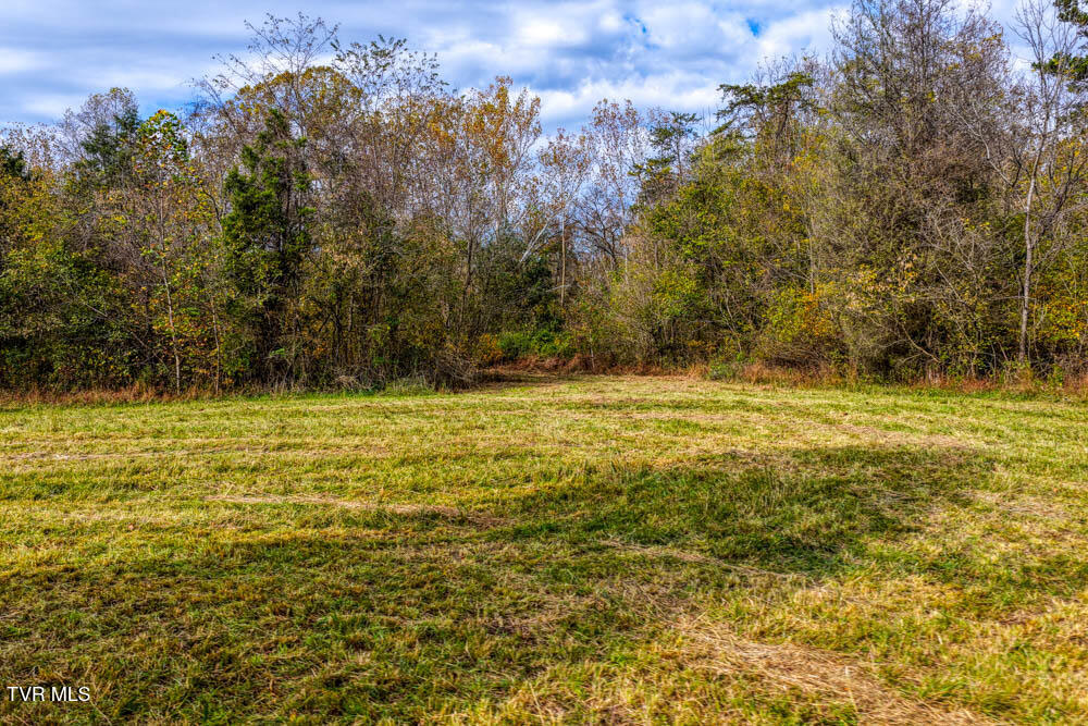 0 Jones Cemetery Road Rogersville, TN 37857 - Photo 47 of 52 Jones Cemetary. Rog MLSa (45 of 50)