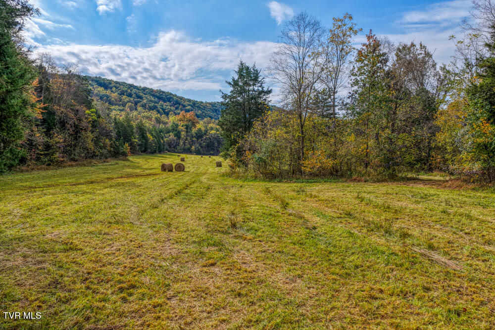0 Jones Cemetery Road Rogersville, TN 37857 - Photo 48 of 52 Jones Cemetary. Rog MLSa (46 of 50)